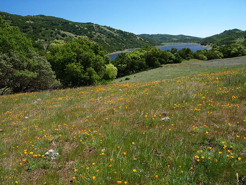 Calaveras Trail, 4/9/13
