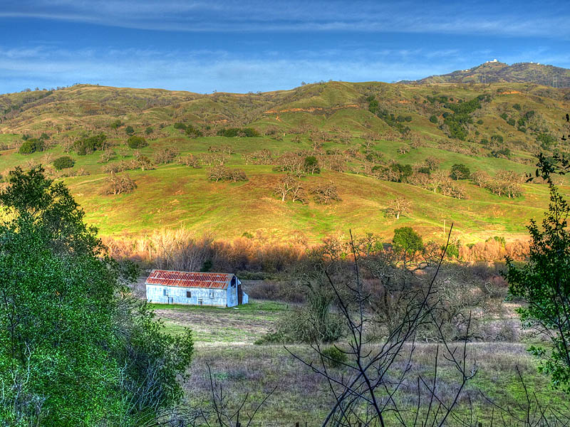 Snell Barn and Mt. Hamilton from the Brush Trail, Grant Park