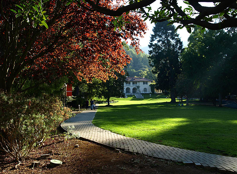 Great Lawn, Villa Montalvo 4/21/12