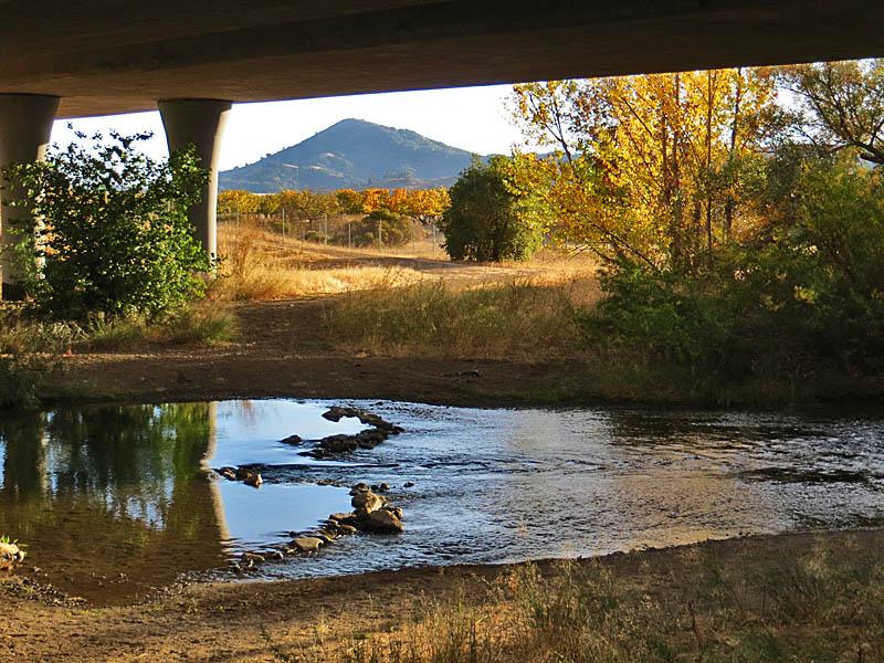 Coyote Creek, Hwy 101 undercrossing, in Anderson Lake County Park 11/17/13