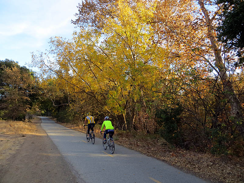 Coyote Creek Trail in Anderson Lake County Park 11/17/13