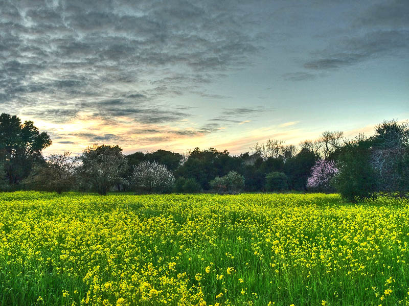 Coyote Creek Trail, 2/21/11