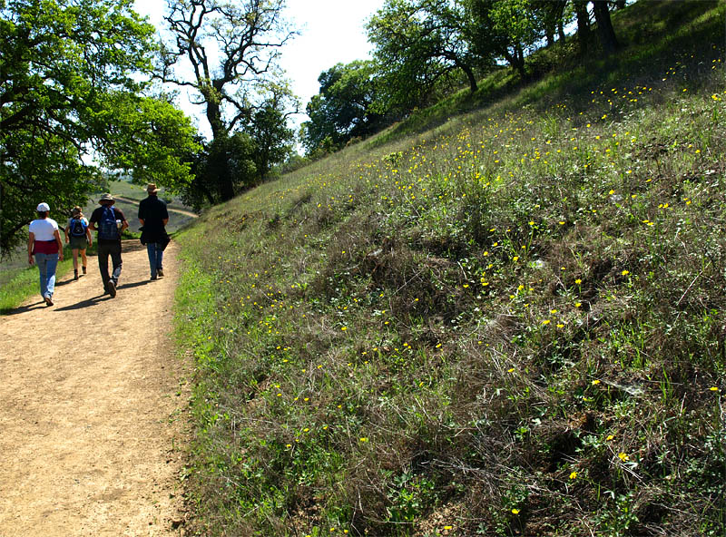 Hike on the Los Cerritos Trail, Calero, 3/23/14
