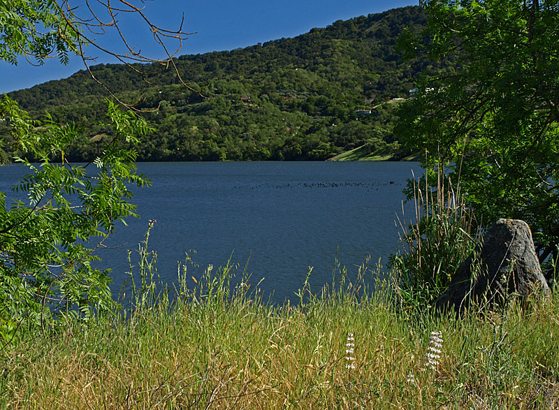 Chesbro Reservoir, 4/30/11