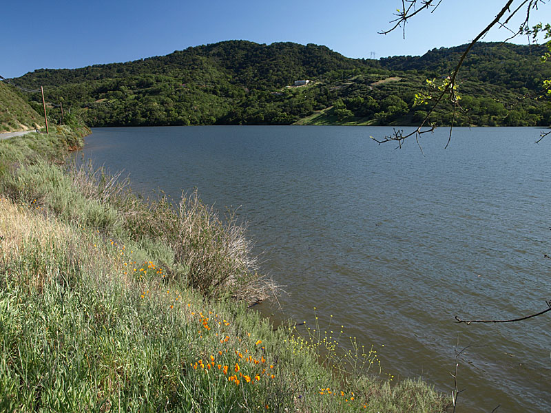 Chesbro Reservoir, 4/30/11