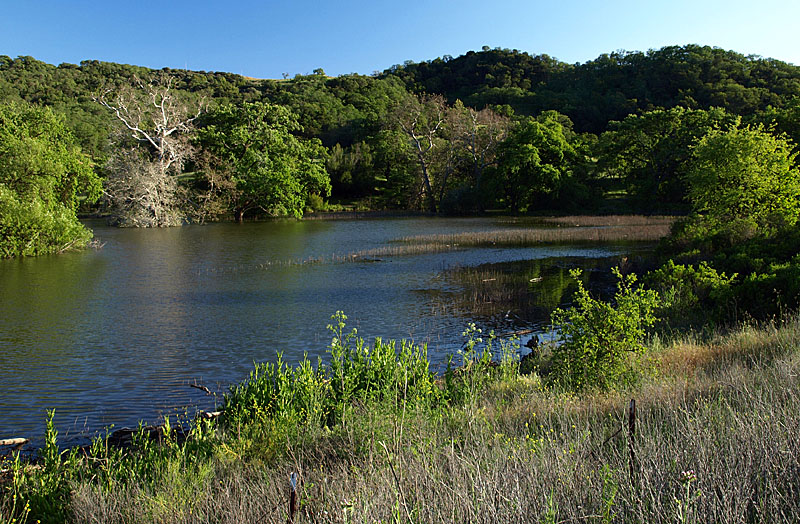 Chesbro Reservoir, 4/30/11