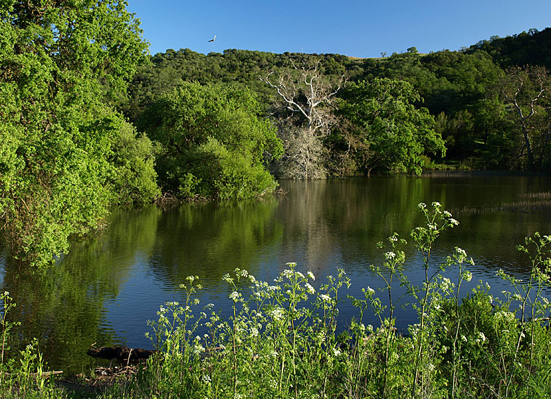 Chesbro Reservoir, 4/30/11