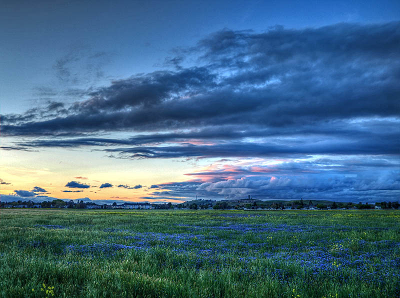 View of Martial Cottle Ranch from Chynoweth