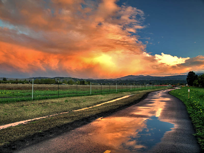 Martial Cottle sunset 3/31/14