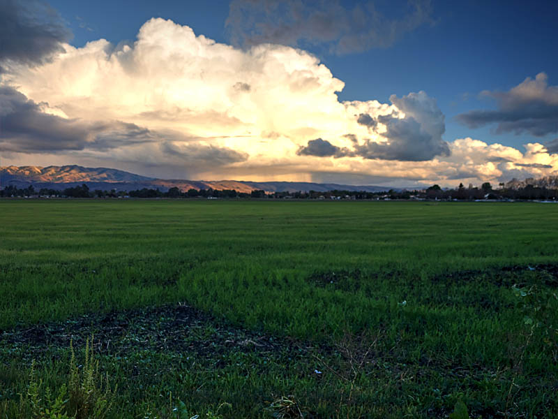 View of Martial Cottle Ranch from the neighborhood on the west side