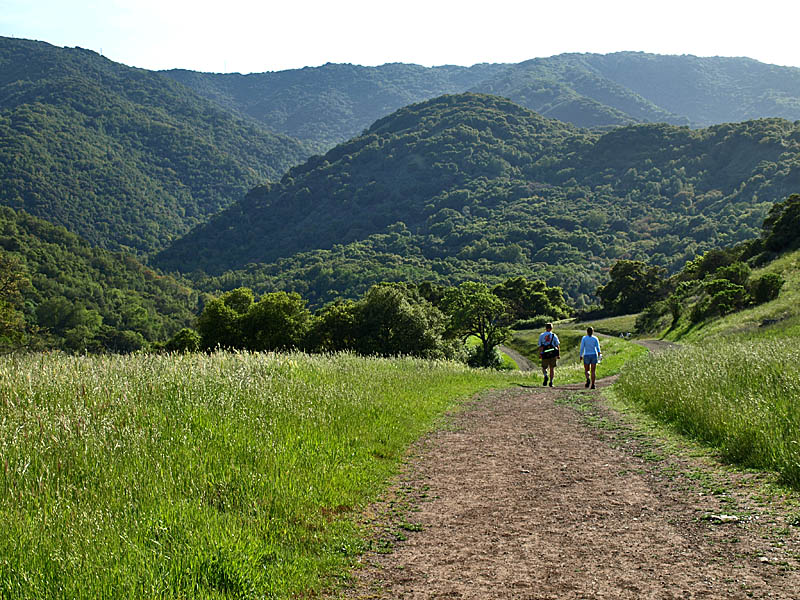 Guadalupe Trail, with Sierra Azuls in the background