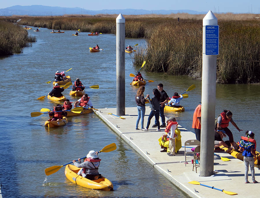 Kayaks at Alviso Marina, Day on the Bay, 10/13/13