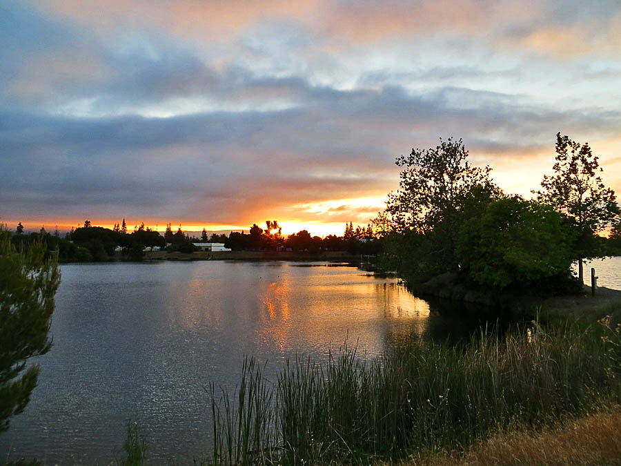 Los Gatos Creek Park, 5/8/13