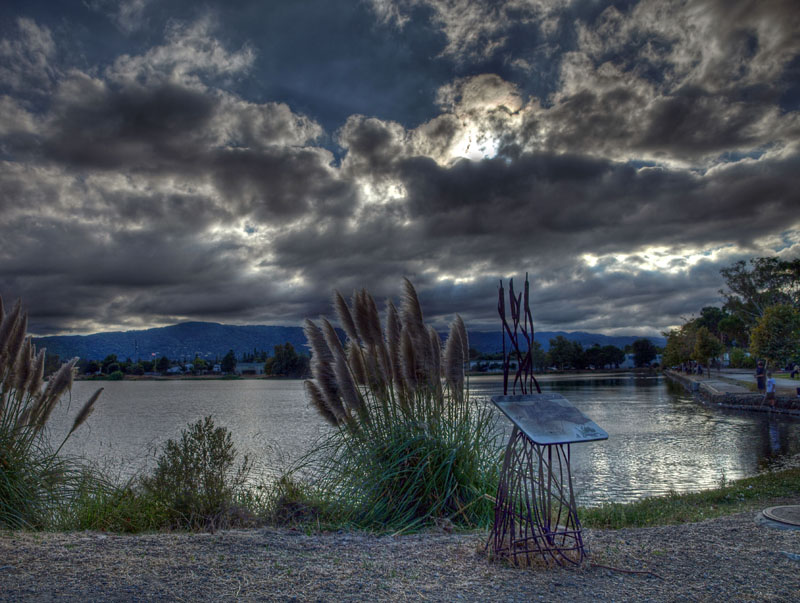 North pond, Los Gatos Creek Park