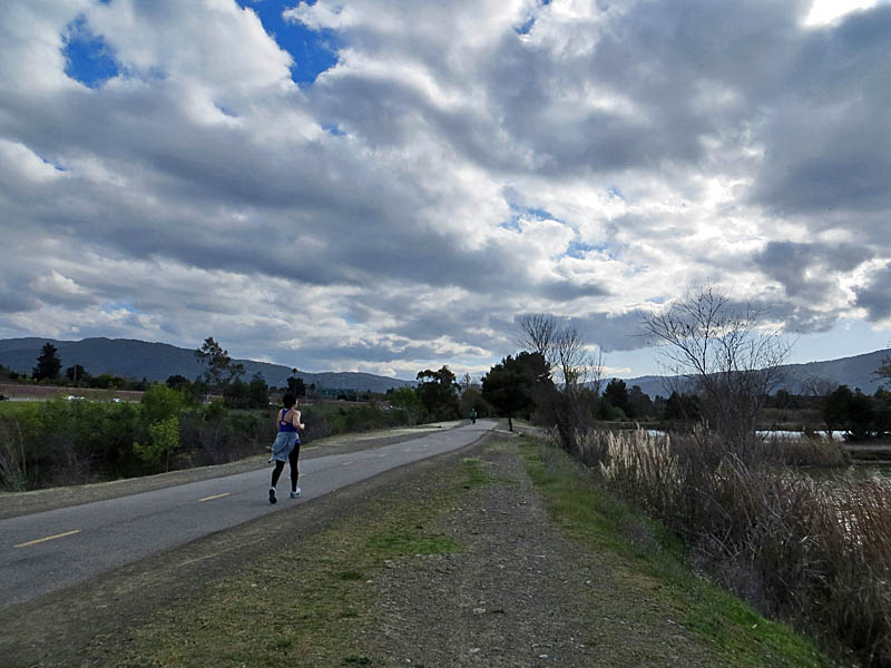 Los Gatos Creek Trail in Los Gatos Creek Park