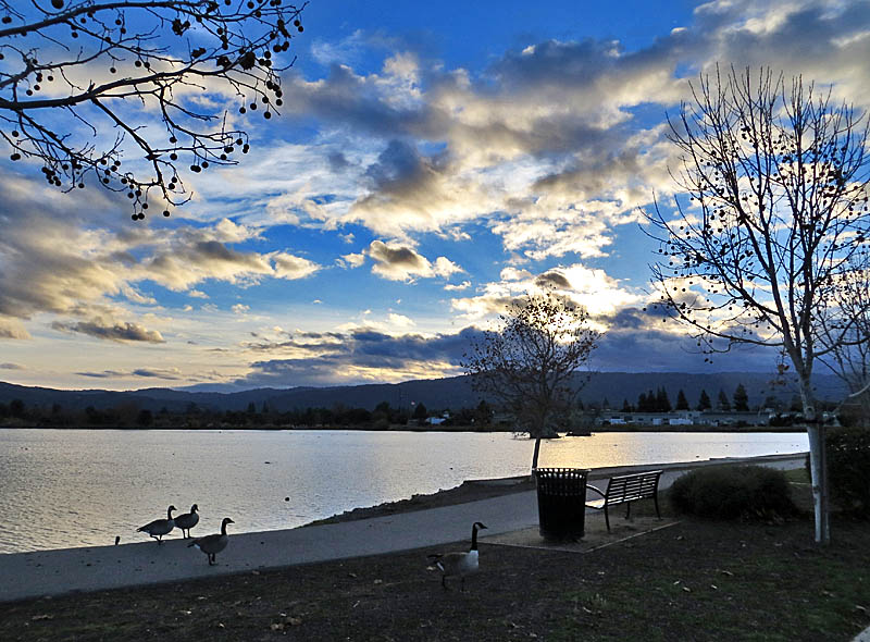 Los Gatos Creek Park, 12/7/13