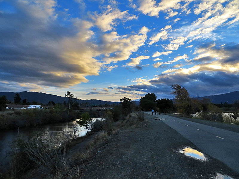 Los Gatos Creek Trail, 12/7/13