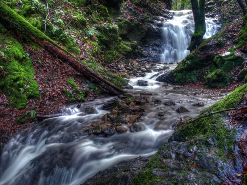 Upper Falls, Uvas Canyon