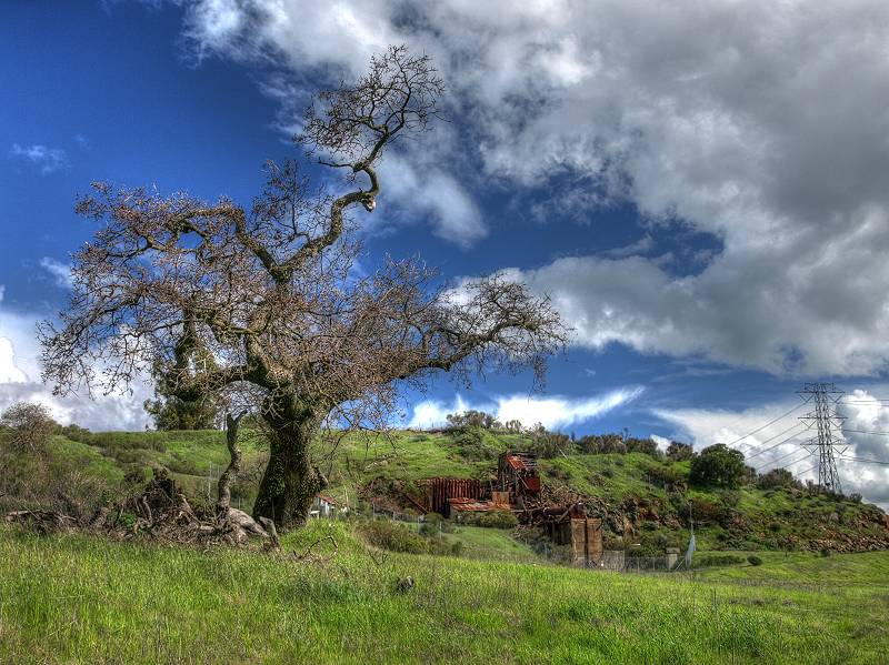 Hanging Tree, Mine Hill Rotary Furnace, Almaden Quicksilver