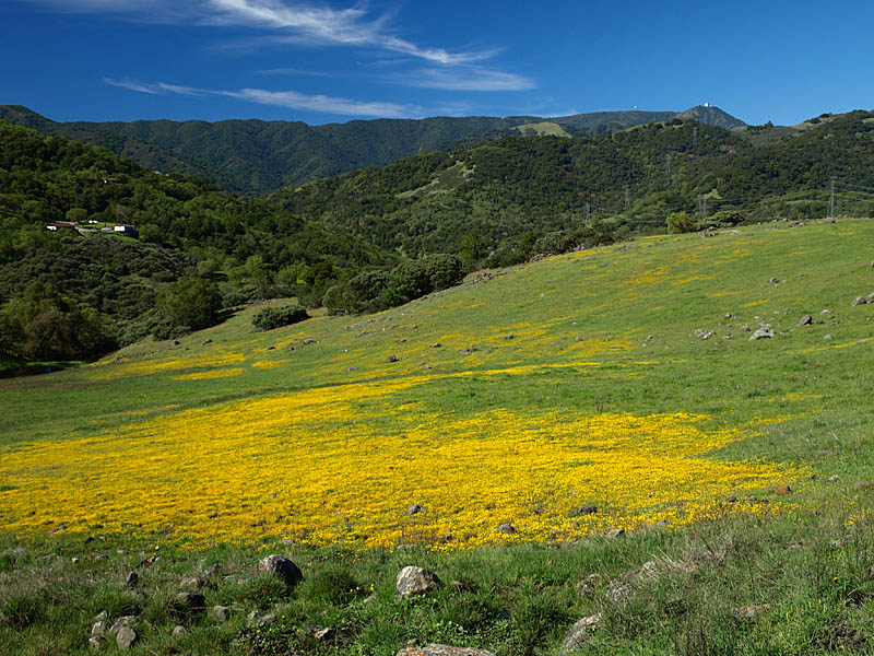 Rancho San Vicente 4/3/11