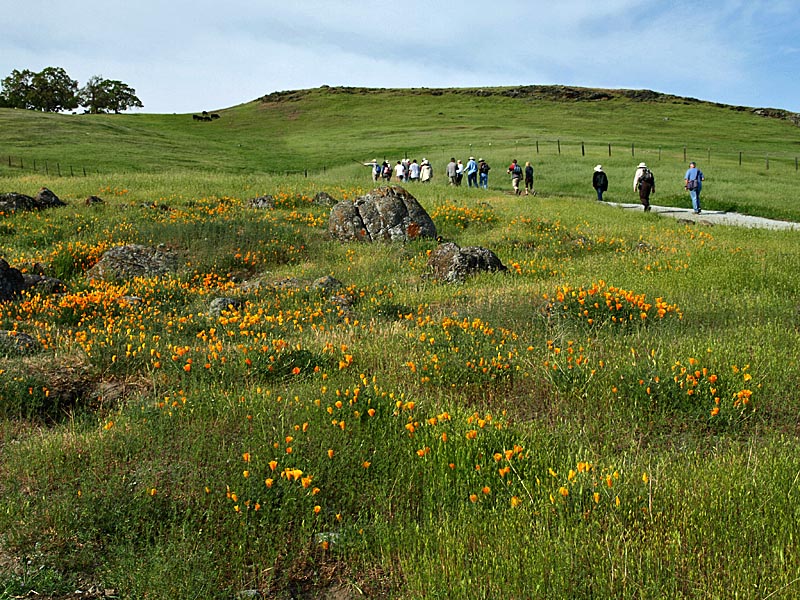 Rancho San Vicente