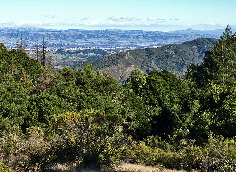 View from Mt. Madonna County Park