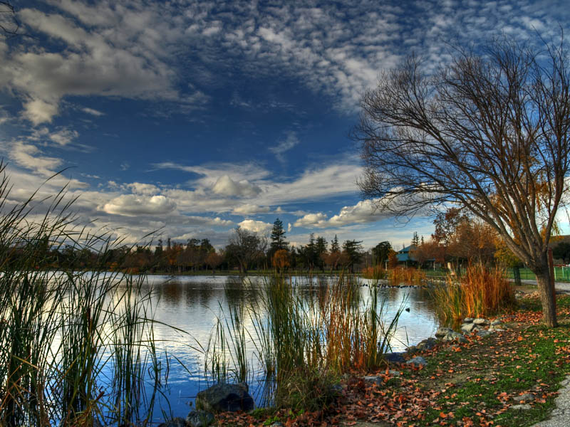 Cottonwood Lake, Hellyer County Park
