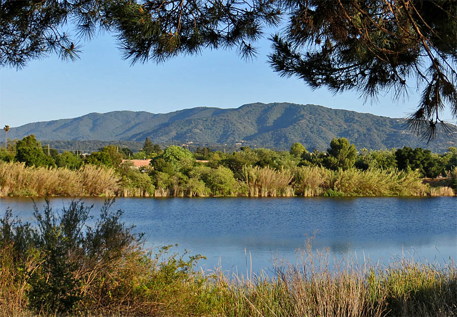 Percolation Pond, Los Gatos Creek Park