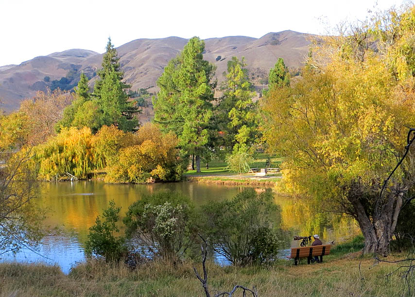 Spring Valley pond in Ed Levin, 11/13/13