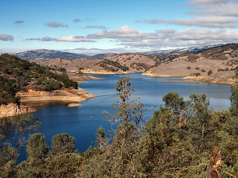Anderson Reservoir north from Rosendin Park