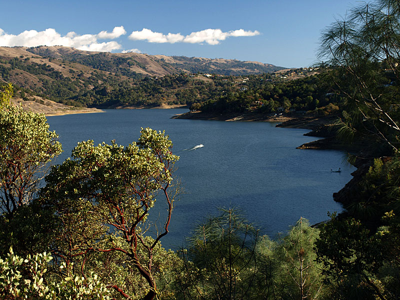 View of Anderson Reservoir south from Rosendin Park