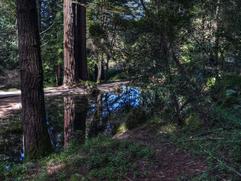 Sanborn pond