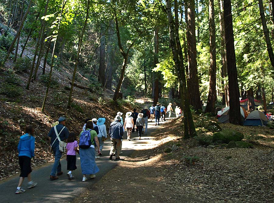 Sanborn wildlife hike, 8/3/13