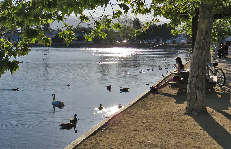 Los Gatos Creek Park, 3/16/14