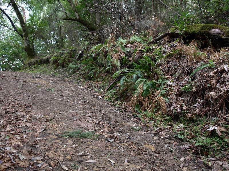 Upper Stevens Creek County Park