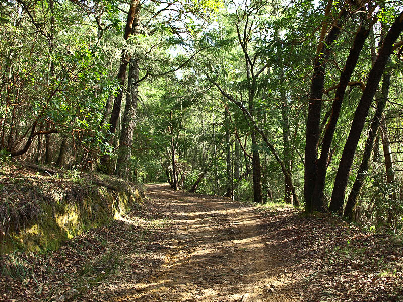 Upper Stevens Creek County Park