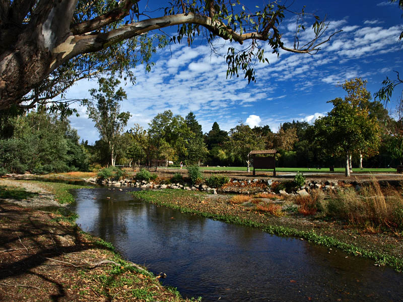 Los Gatos Creek in Vasona County Park