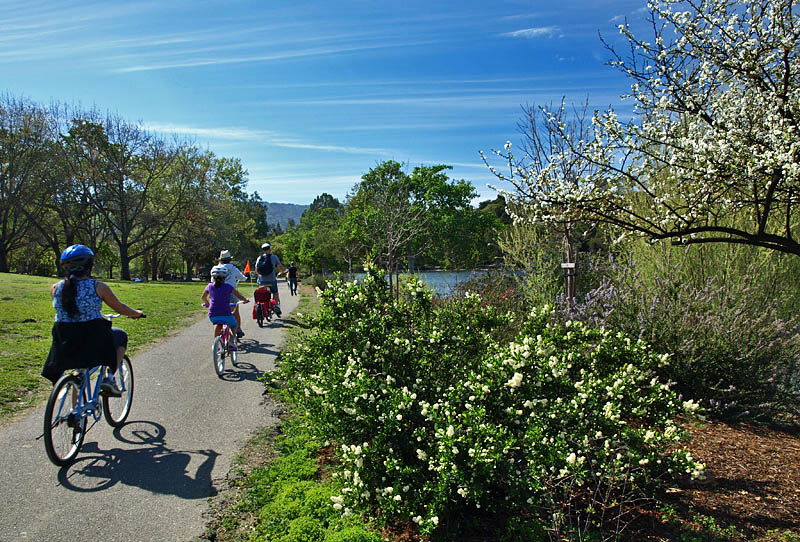 Bikes on the Los Gatos Creek Trail in Vasona, 3/16/14