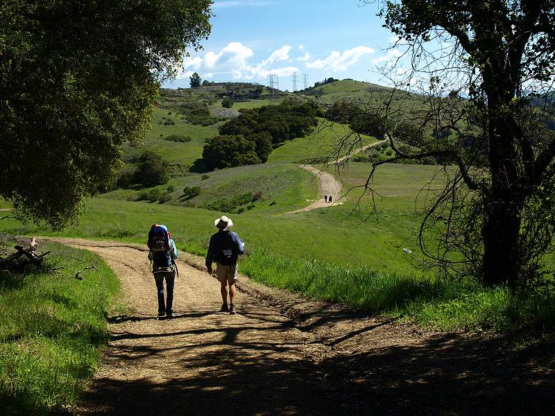 Wood Road Trail, 4/9/11