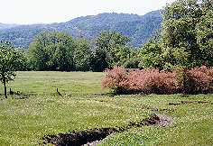 Calero Trail