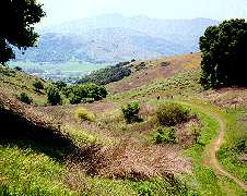 Mine Trail