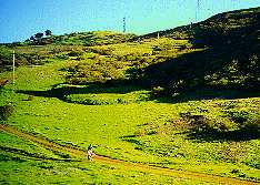 Hidden Springs and Coyote Peak Trail below Coyote Peak