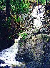 Lower Laurel Canyon Falls