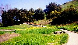 Santa Teresa Springs Site