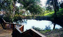 Santa Teresa Springs Pond