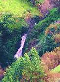 Seasonal waterfall in laurel Canyon below the Hidden Springs Trail